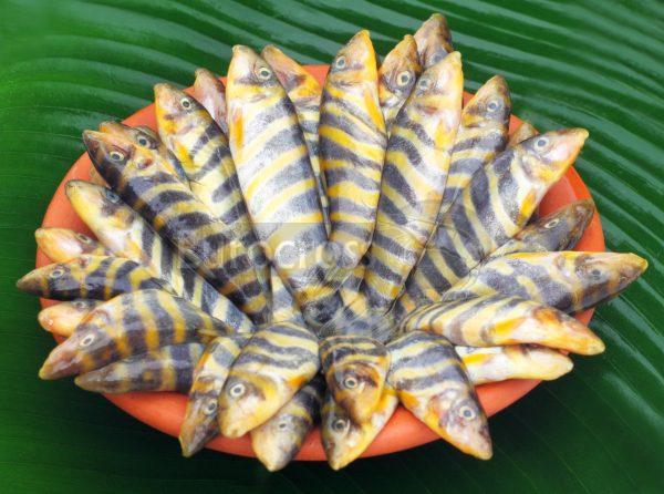 Rani Fish © Eurocross London 2021